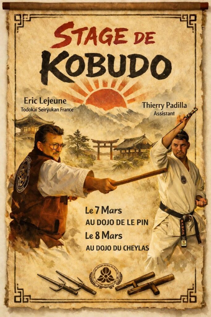 Affiche stage Eric LEJEUNE 07 mars